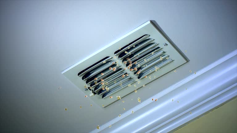 Best Residential Air Duct Cleaning  in Central Gardens, TX