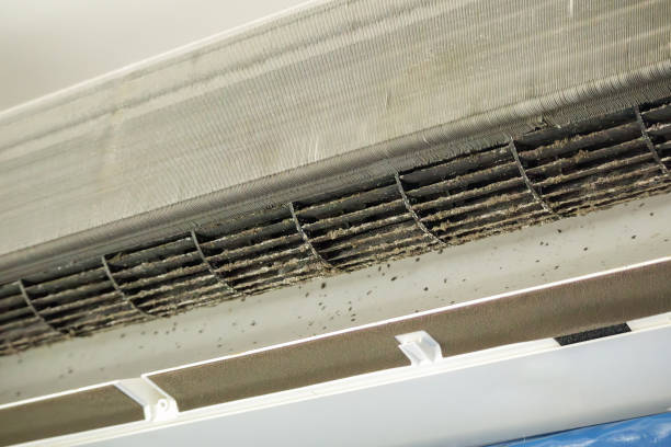 Best HVAC Duct Inspection Services  in Central Gardens, TX