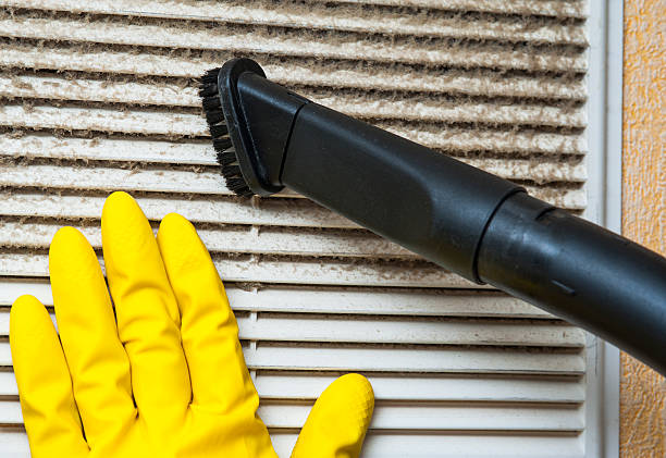 Best Home Air Vent Cleaning  in Central Gardens, TX